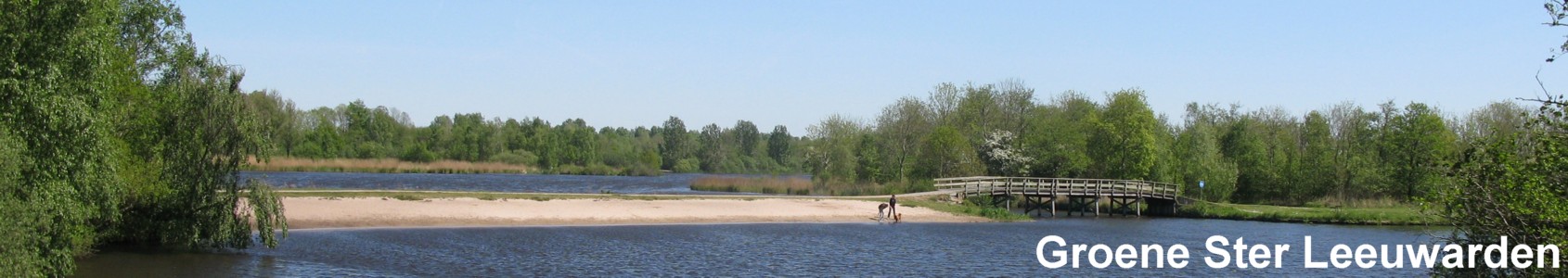 Groene Ster Leeuwarden